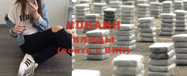 метадон Алексин