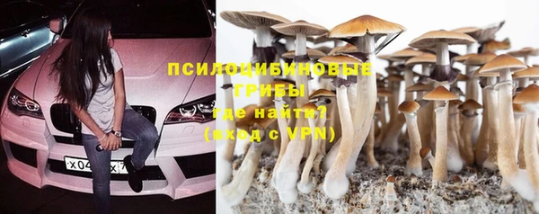 соль курить ск Алексеевка